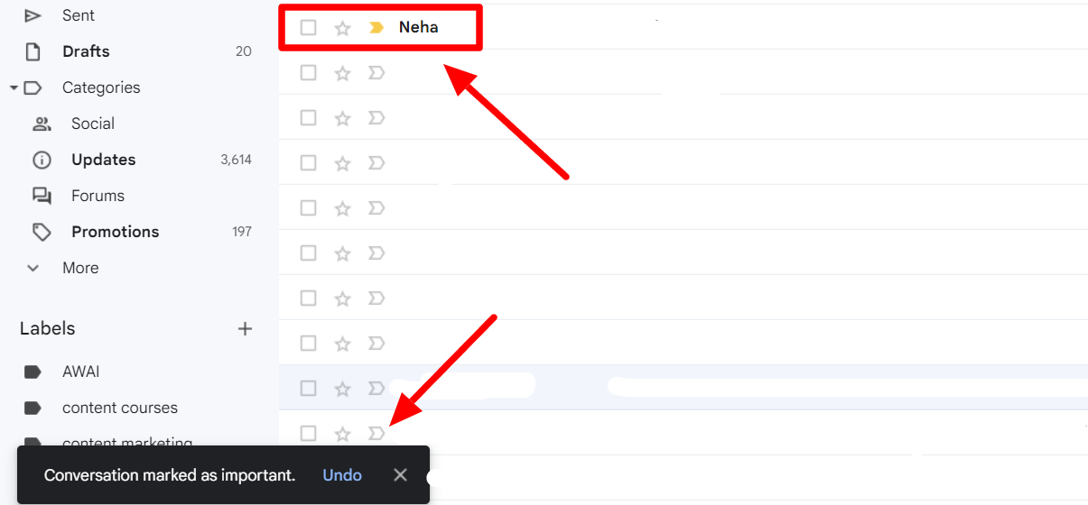 Gmail message with a yellow importance marker and a confirmation that it was marked important.