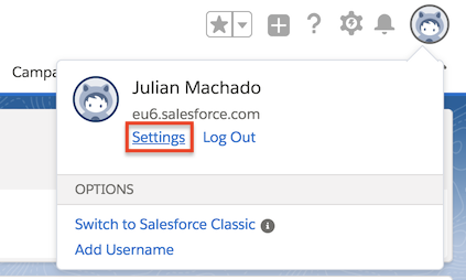 Email menu option in the Salesforce settings