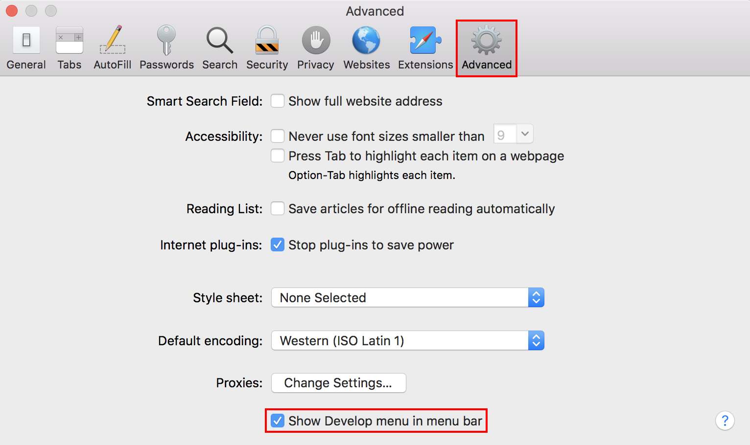 Show Develop menu in menu bar option in the Safari Advanced preferences